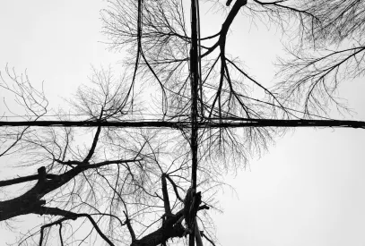 Билиън Казино Мобилно приложение